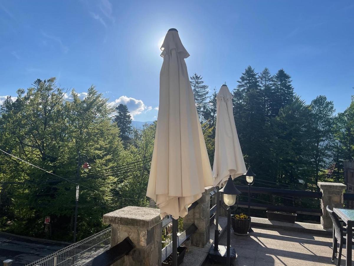 Vila Terase Sinaia Exterior photo