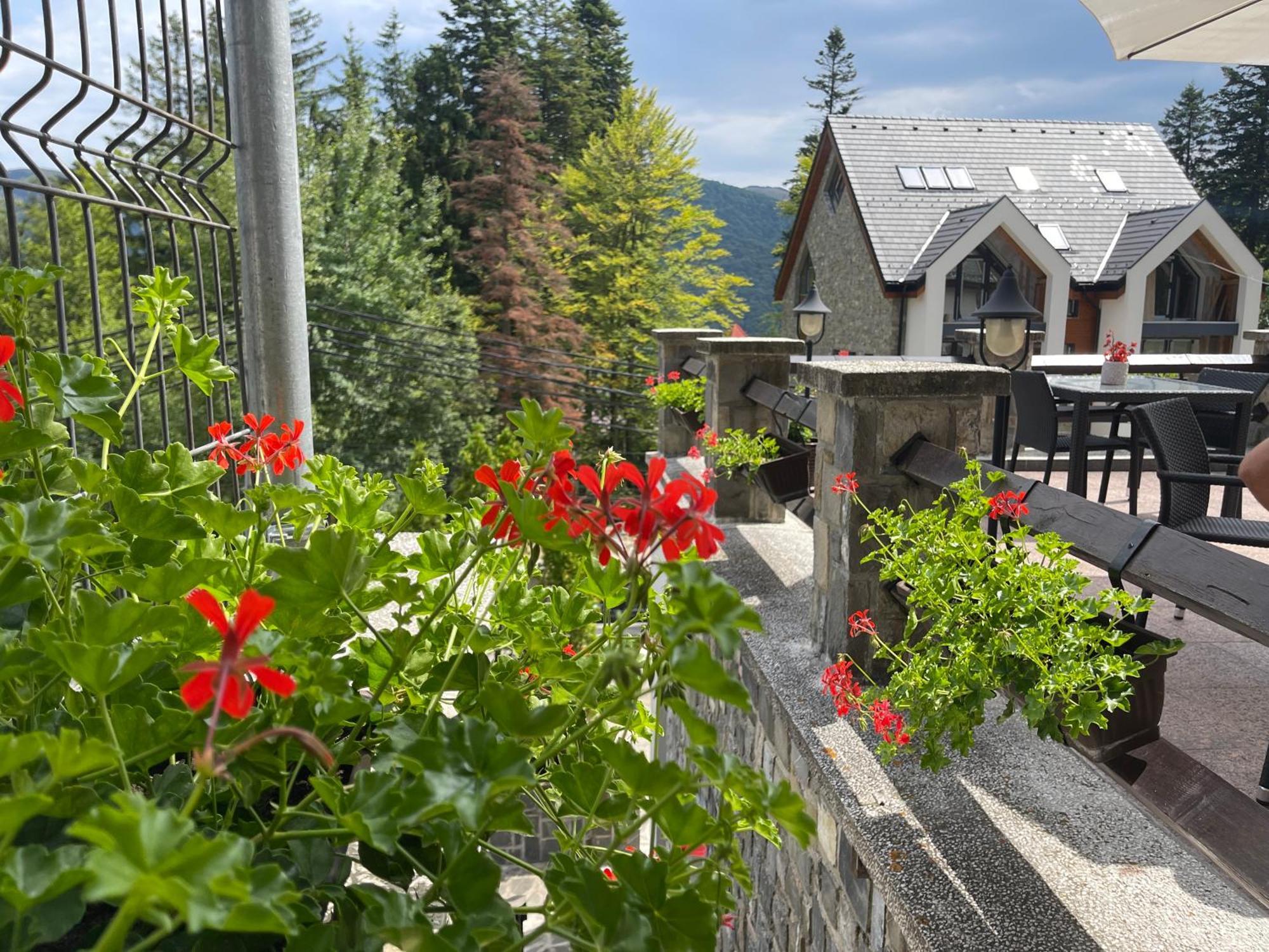 Vila Terase Sinaia Exterior photo
